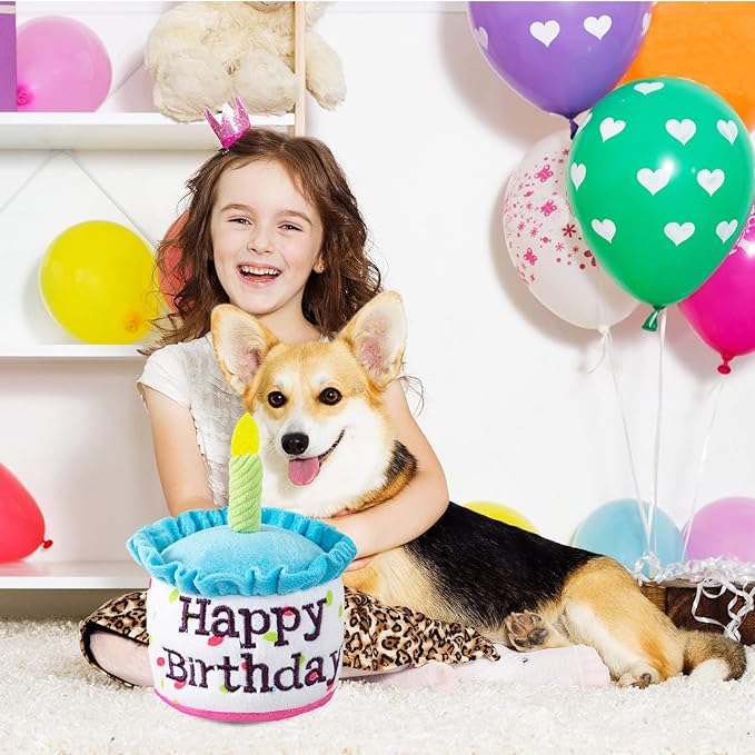Dog Birthday Cake Toy, Happy Birthday Cake Shaped Squeaky Dog Toys for Small & Medium Dogs Funny Dogs Gifts Plush Dog Party Toys, Small, Blue