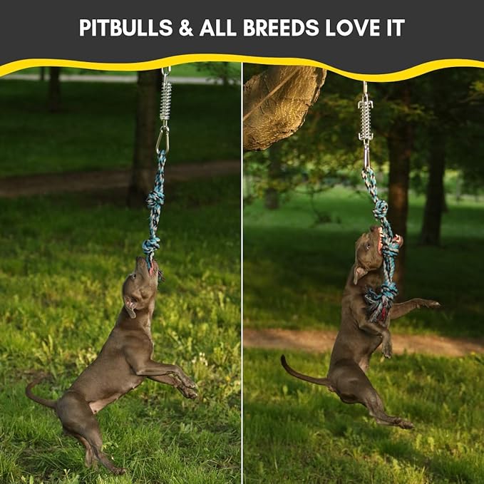 YES4QUALITY Flirt Pole for Dogs, 2 Durable Spring Poles with Strong Dog Rope Toy, Heavy Duty Lure Pole for Dogs of Any Size, Dog Toy for Fun Obedience Training & Exercise, Pull & Tug of War Toy