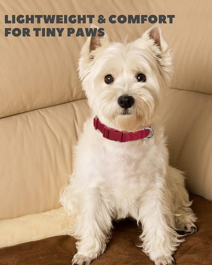 Dynmeow Soft and Breathable Cotton Dog Collar, Durable Adjustable Pet Collar with Quick-Release Buckle, Lightweight for Sensitive Skin for Small and Medium Dogs, Red, S
