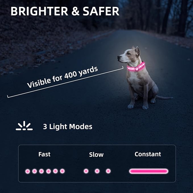 Super Bright LED Dog Collar - Fully Waterproof & Adjustable Glow Collar - USB-C Rechargeable for Night Walking, Safety - Flashing Lighted Collar for Dogs(Pink,M)