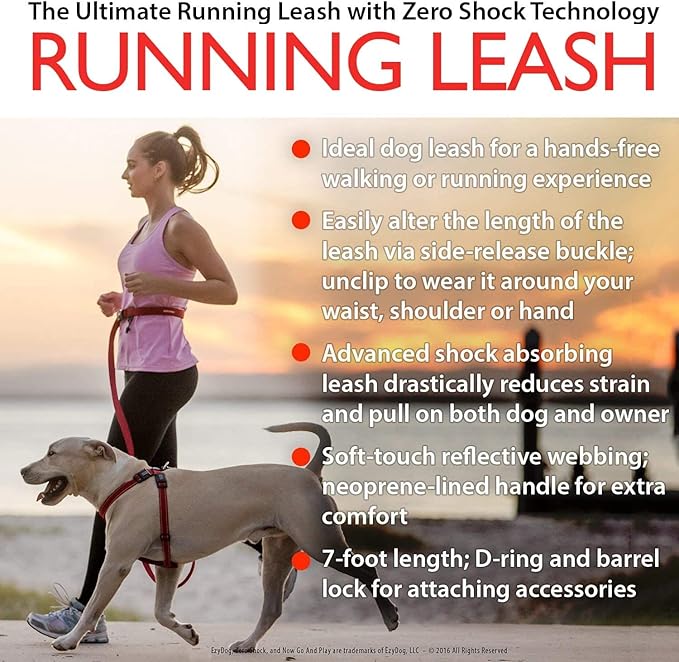 EzyDog Road Runner LITE Hands Free Dog Leash for 26lbs or Less – Waist Leash for Dog Walking, Jogging and Running with Zero Shock Bungee, Reflective Stitching, and Adjustable Waist (Lite, Black)