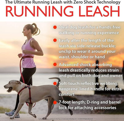 EzyDog Road Runner Hands Free Dog Leash – Waist Leash for Dog Walking, Jogging and Running with Zero Shock Bungee, Reflective Stitching, and Adjustable Waist (Orange)