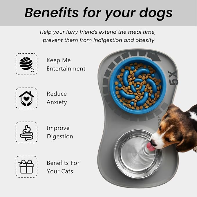 Slow Feeder Dog Bowls Stainless Steel Food and Water Bowl Set 3 in 1 No Spill Waterproof Silicone Pet Food Mat Puppy Feeding Station for Large Medium Small Breed Non Slip Metal Dish Tray by YINEYA