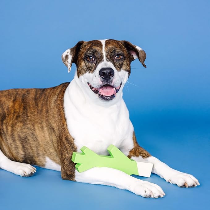 Fringe Studio Stick with ME Lime/White Rubber Dog Toy, Pet Shop Collection (518034) (Pack of 2)