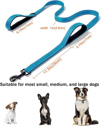 Solmoony 6FT Blue Strong Dog Leash with 2 Padded Handles, Traffic Handle Extra Control, Double-Sided Reflective Walking Lead for Small Medium and Large Dog (Blue, 6FT)