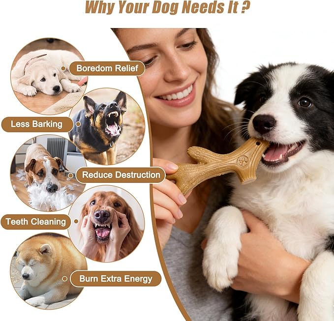 Dog Chew Toys for Aggressive Chewers, 3 Pack Nylon & Wood Teething Bone Toy Set with Chicken Flavor, Durable Tough Bones Chewing Toys for Small & Medium Dogs