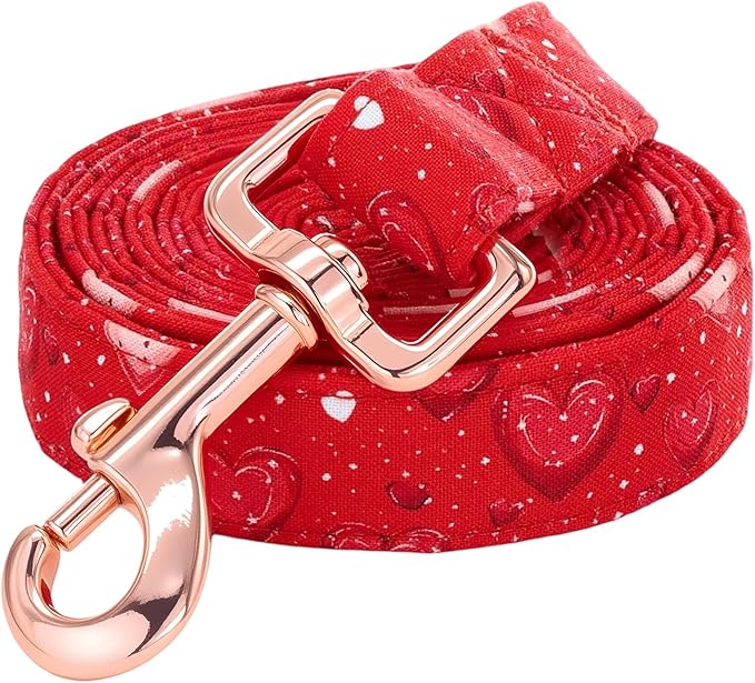 Dog Leash，Valentine's Red Love-Heart Print Pet Leash Comfortable Padded Boy/Girl Durable Heavy Duty Leashes for Small Medium Large Dogs
