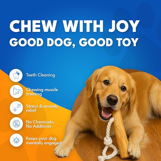Coffee Wood Dog Chew Toy with Rope for Medium Dogs, Natural Wood Stick for Light to Moderate Chewers, Safe & Long Lasting Chew Toy for Dental Care, Tug Play & Boredom Relief (M - Under 50lbs)