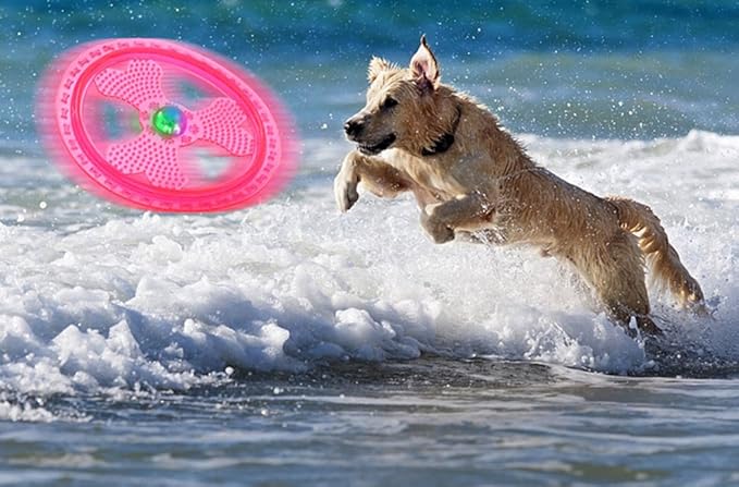 Flying Disc Dog Sport Toy with Flashing LED Lights, Light Up Pet Disk for Ultimate Night Time Play, Blue