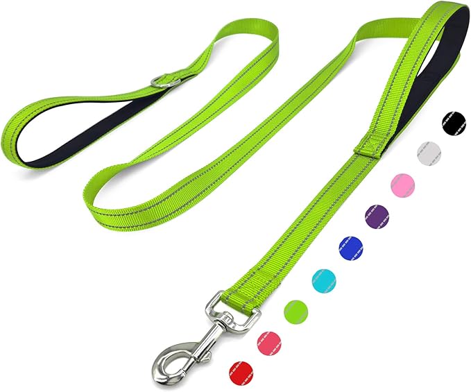 6 FT Dog Leash with 2 Padded Handle Nylon Reflective Dogs Leashes for Small Medium Large Dogs Green
