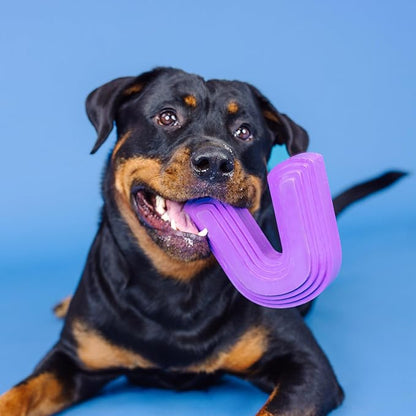 Fringe Studio Color ME Happy Purple Rubber Dog Toy, Pet Shop Collection (518036)