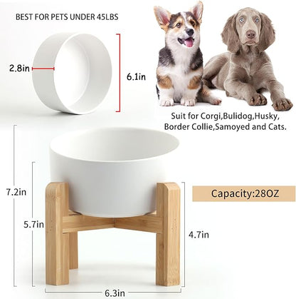 Petygooing White Elevated/Raised 15°Slanted Ceramic Dog Bowl for Small and Medium Breeds, Tilted Anti Slip Pet Feeding Bowl,Food Water Dish with Stand for Cats and Dogs (28 OZ/3.6 Cups)