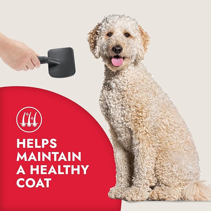 KONG Large Slicker Brush – Removes Loose Hair, Reduces Shedding, Comfortable Non-Slip Grip, Long Metal Pins, for Medium to Large Dogs with Medium to Long Coats, Red/Gray