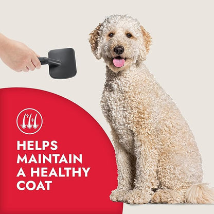 KONG Large Slicker Brush – Removes Loose Hair, Reduces Shedding, Comfortable Non-Slip Grip, Long Metal Pins, for Medium to Large Dogs with Medium to Long Coats, Red/Gray