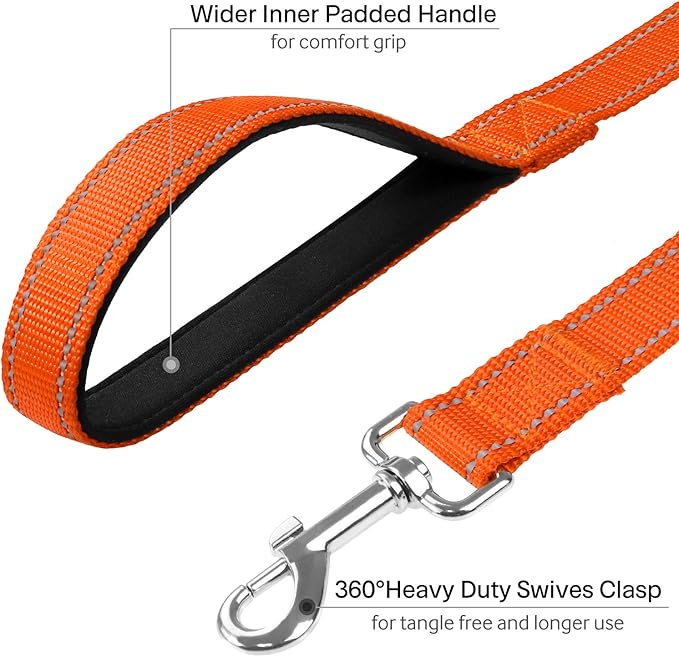 FunTags 6FT Reflective Dog Leash with Soft Padded Handle for Training,Walking Lead for Medium & Small Dogs,3/4 Inch Wide,Range
