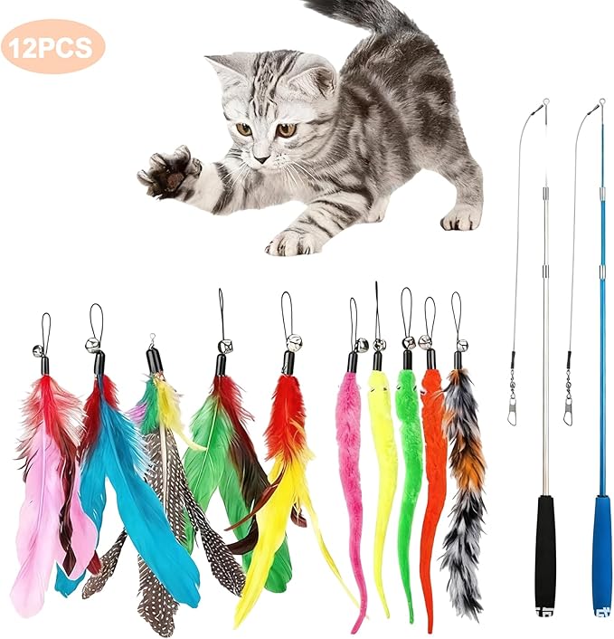 Walfront Cat Toys for Indoor Cats, 12PCS Kitten Toy Set with 2 Retractable Wands & Interactive Feather Teasers, Fun Chase and Exercise Toys to Keep Cats Active and Healthy