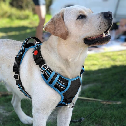 rabbitgoo Dog Harness for Large Dogs, No Pull Pet Vest with 3 Buckles, Adjustable Soft Padded Pet Harness with Easy Control Handle and Reflective Strips, Black & Sky Blue, L