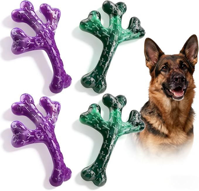 4 Pack (XL Cactus) Indestructible Tough Dog Toys for Aggressive Chewers: Beef Flavored Chew Bone for Large Dogs 20-90 lbs, Long Lasting & Keep Them Busy