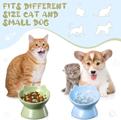 2 Pcs Ceramic Raised Slow Feeder Cat Bowl, 5.91inch Elevated Cat Slow Feeder Bowl Tilted Anti Vomiting for Dry Wet Food and Water Easy to Clean High Edge(Green, Blue)