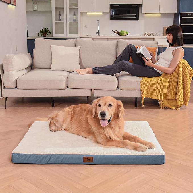 Plush Orthopedic Dog Bed for Medium Dogs & Puppies, Waterproof Dog Beds 30x20 Inch with Removable Washable Cover, Egg Crate Foam Flat Pet Mat, Blue White