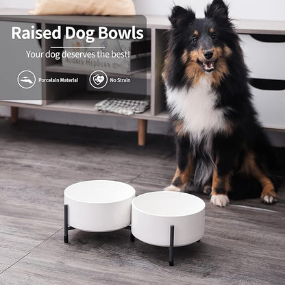 OMAYKEY 32 oz Ceramic Dog Cat Bowl Set of 2 with Elevated Metal Stand - 6 Inch Ceramic Round Pet Food and Water Feeder Bowl Dish for Cats & Dogs - White
