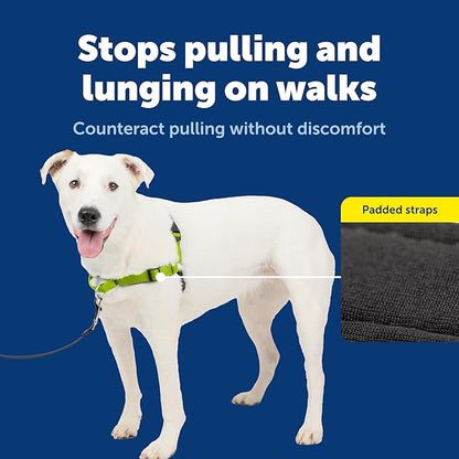 PetSafe Deluxe Easy Walk Harness - Trainer-Trusted Dog Chest Harness with Breathable Martingale Loop Design - Helps Stop Pulling with No Choking & Gagging - Medium/Large - Apple
