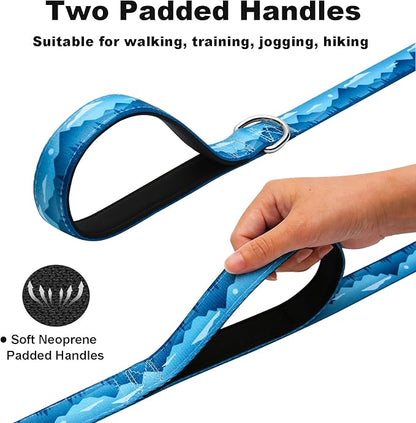 6ft Dog Leash with Two Padded Handles, Heavy Duty Strong Nylon Pet Leash with Soft Neoprene Handle for Medium and Large Dogs, Blue Sunset
