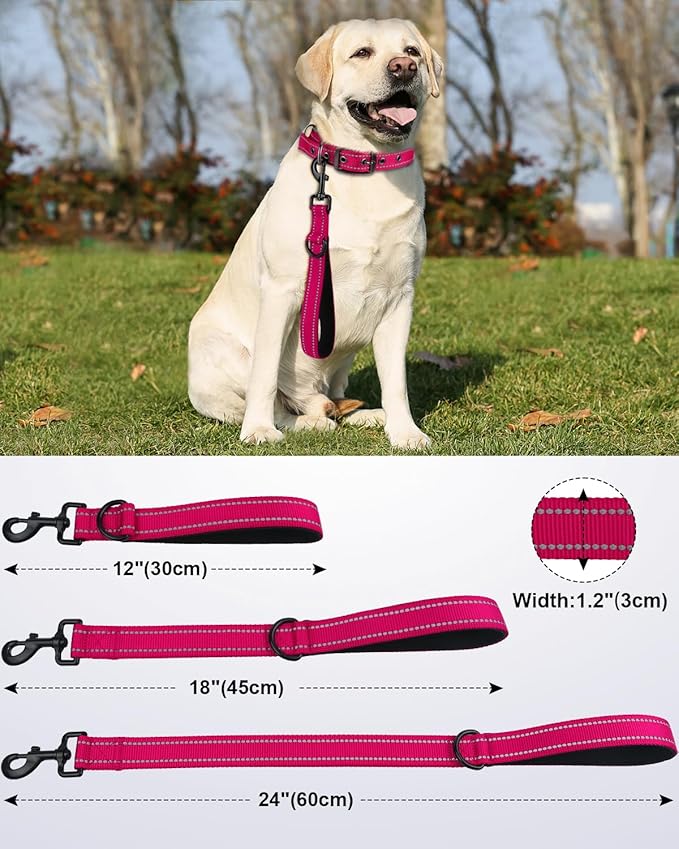 Joytale Strong Short Dog Leash 2FT, 1.2 Inch Wide, Heavy Duty, Padded Handle for Traffic Control, Reflective Leash for Medium and Large Dogs Walking Training, Hot Pink