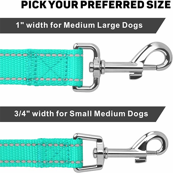 Reflective Dog Leash 4ft Soft Padded Handle Nylon Lead for Small & Medium Dogs, Durable Walking Training Leash for Night Safety (Turquoise,1Inch Wide)