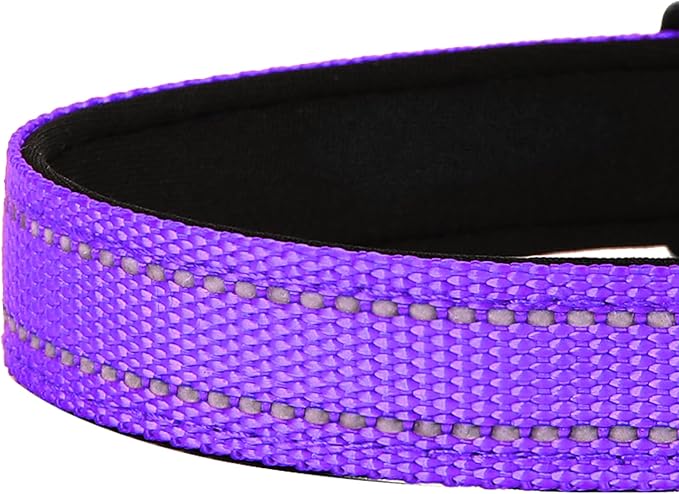Reflective Dog Collar, Adjustable Soft Neoprene Padded Nylon Pet Collars with Buckle for Small Dogs, Purple,S