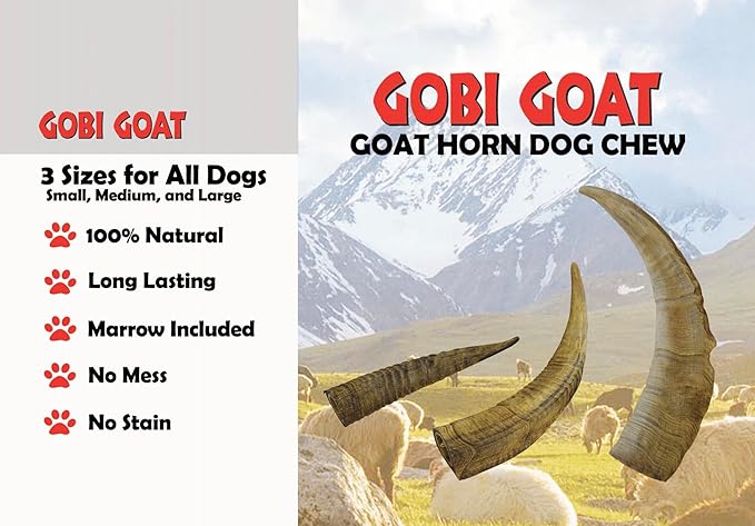 QT Dog Small Gobi Goat Horn (Pack of 4) - Long-Lasting 100% All-Natural Dog Chew, Ethically Sources Protein-Packed & Low Fat Dental Chews, Ideal for All Breeds & Aggressive Chewers
