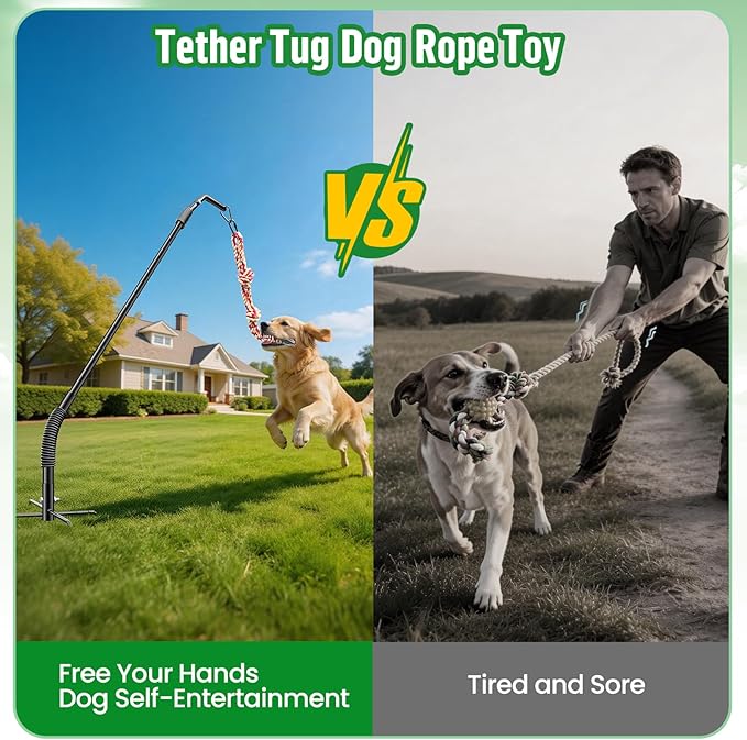 Tether Tug Outdoor Dog Rope Toy, Adjustment Height Upgraded Spring Pole, Includes 3 Chew Ropes, Interactive Tug of War Toy for Large Medium Small Dogs, Exercise Game in Yard, Lawn, Park