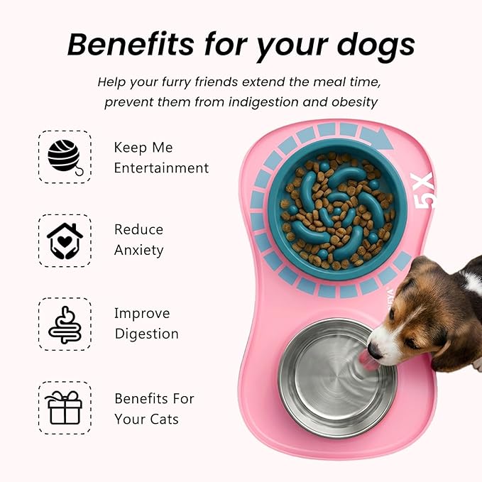 Slow Feeder Dog Bowls Stainless Steel Food and Water Bowl Set 3 in 1 No Spill Waterproof Silicone Pet Food Mat Puppy Feeding Station for Large Medium Small Breed Non Slip Metal Dish Tray by YINEYA
