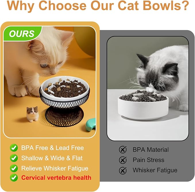 Raised Ceramic Cat Slow Feeder Bowl, Elevated Cat Plate with Stand, Slow Bowl for Wet and Dry Food, Whisker Friendly Pet Feeder for Kitten and Small Dog Perfect for Pet Gift