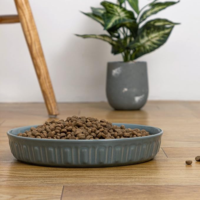 Fun Elements Shallow Dog Bowls, 8" Ceramic Dog Food Plate for Small and Medium Breeds, Non-Slip, Flat and Wide, Dishwasher Safe, Suitable for Puppies and Kittens (Grey)