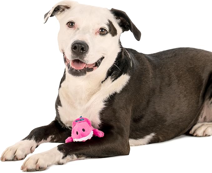 goDog Just For Me Gators Squeaky Plush Dog Toy, Chew Guard Technology - Pink, Mini