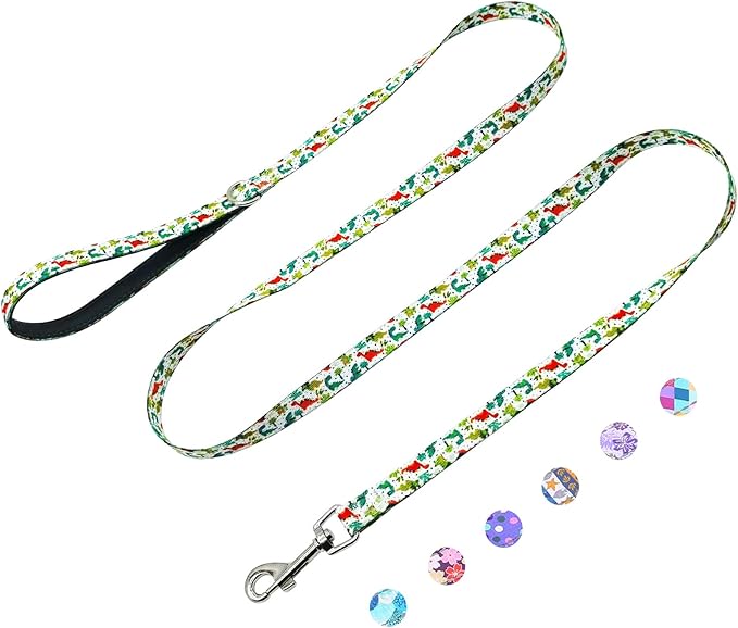 Dog Leash for Small Dogs, 5ft Dog Lead with Padded Handle, Soft Nylon Dog Leash for Walking, Dinosaur
