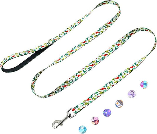 Dog Leash for Small Dogs, 5ft Dog Lead with Padded Handle, Soft Nylon Dog Leash for Walking, Dinosaur
