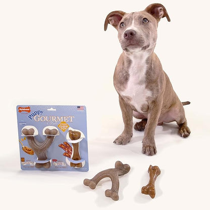 Nylabone Gourmet Style Femur & Wishbone Strong Chew Toy for Puppies, Puppy Teething Toy, Bacon & Peanut Butter Flavor, Small Dogs - Up to 25 Ibs, 2 Pack