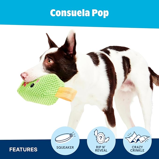 Barkbox BARK Consuela The Cactus Pop – 2-in-1 Summer Plush Dog Toy with Squeaker & Crinkle Layers – Interactive Ice-Cream-Themed Dog Toy for Puppies & Large Dogs