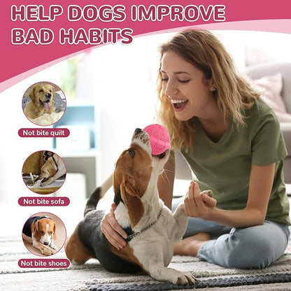 Squeaky Turtle Dog Toy, Treat Dispensing Rubber Ball, Bite Resistant Plush Chew Toy, Interactive Tug & Fetch Enrichment Toy for Medium & Small Breeds, Safe & Engaging for Puppies (Purple)