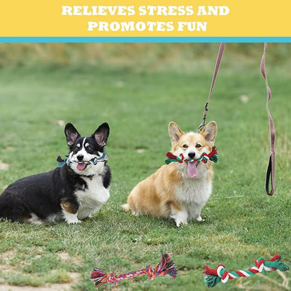 60 Pcs Multi-Color Knot Rope Dog Chew Toys - Bulk Puppy Tug-of-War Toys, Durable Chew Ropes for Small & Medium Dogs, Interactive Pet Play Accessories