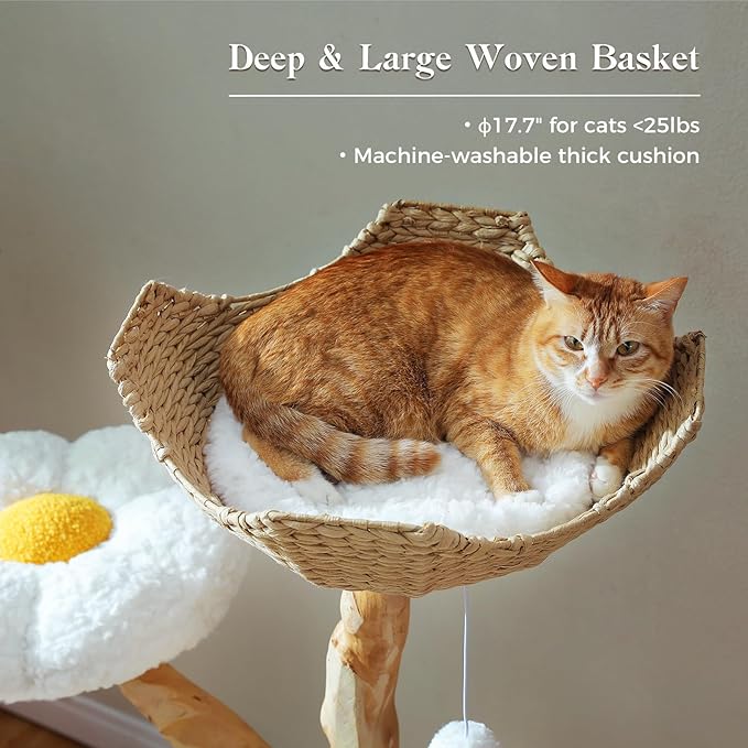 PAWZ Road Cat Tree for Indoor Cats Large Adults, 59 Inches Modern Cat Tower with Large Basket and Hammock, Natural Solid Wood, Luxury Condo & Dual Perches, Modern Cat Furniture for Big Cats, White