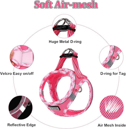 Mercano Soft Mesh Dog Harness and Leash Set, No-Chock Step-in Reflective Breathable Lightweight Easy Walk Vest Harnesses with Safety Buckle for Small Dogs, Cats (XS, Fuchsia)