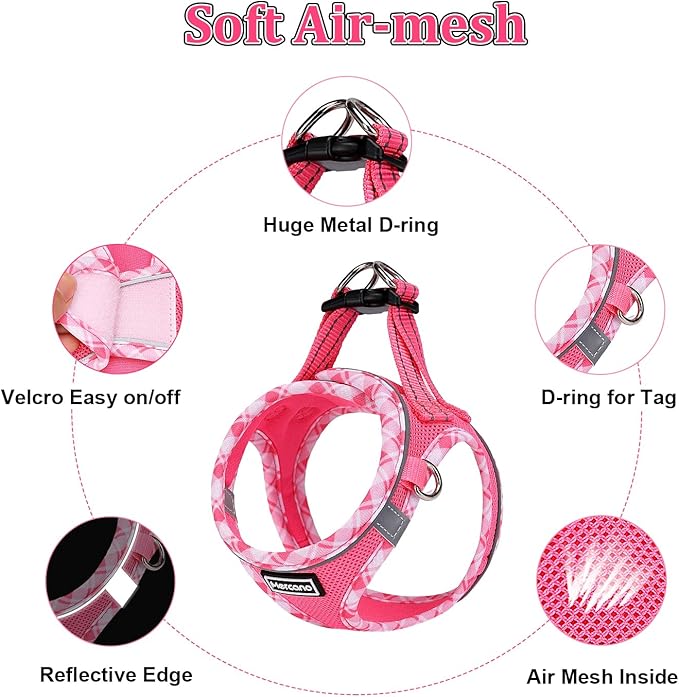Mercano Soft Mesh Dog Harness and Leash Set, No-Chock Step-in Reflective Breathable Lightweight Easy Walk Vest Harnesses with Safety Buckle for Small Dogs, Cats (S, Fuchsia)