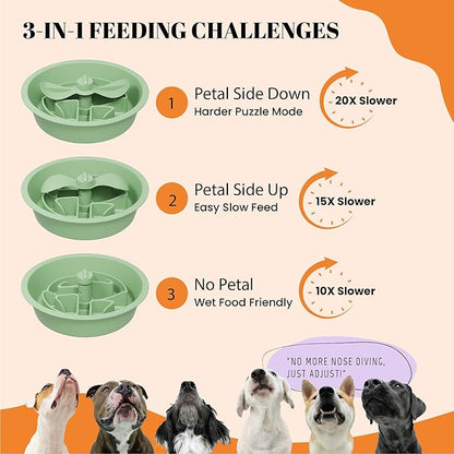 AVERYDAY Slow Feeder Bowl Replacement Insert – Interchangeable Puzzle Attachment for AVERYDAY Dog Bowls, BPA-Free & Easy to Clean, Slows Down Fast Eaters