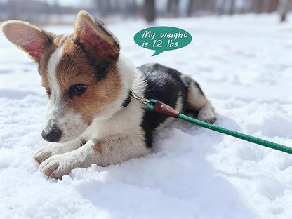 Small Dog Leash, 1/4" by 6/8/10 FT Lightweight Strong Nylon Rope Leash, Bright Classic Lead for Small Pets/Puppy (8ft, Dark Green)