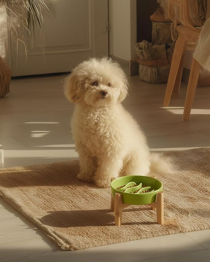 Ceramic Slow Feeder Dog Bowls Elevated, 0.6 Cup Dog Slow Feeder for Small Dogs, Puzzle Maze Bowl, 14oz, 6in, Lime Green