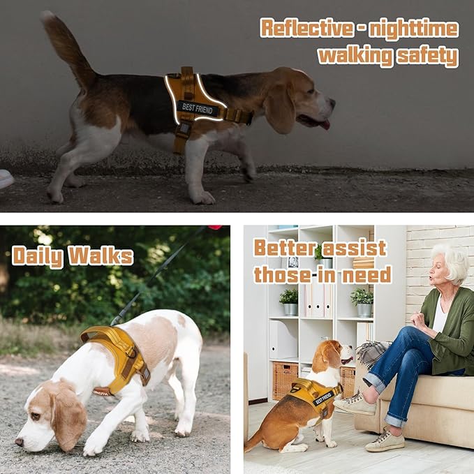 AUROTH Dog Harness and Leash Set, Soft Padded Service Dog Vest with 5.25FT Dog Leash, No Choke, Easy On Pet Vest, Adjustable Reflective No Pull Dog Harness for Large Dogs, Easy Walking and Training