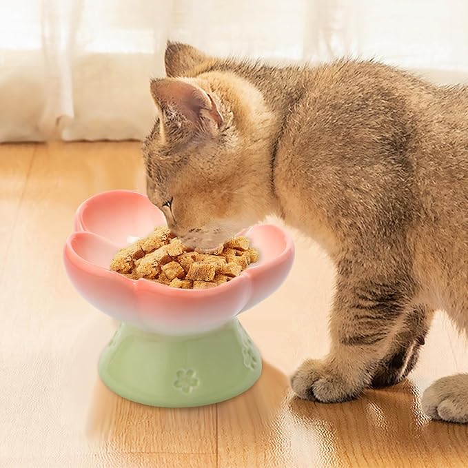 Ceramic Raised Slow Feeder Dog Bowl for Dry Wet Food, Smooth Surface Elevated Cat Food Bowl, Flower Shape Pet Food Bowls for Small Cat Dog, 150ml/5oz (Style 2)